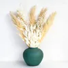 Decoratieve bloemen 80 cm pluizige grote pampa's gedroogd gebruikt voor bruiloft open haard woonkamer decoratie high-end zacht