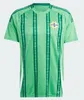 2024 North Ireland Soccer Jersey Men Set Kid Kit Uniform 2025 Divas Charles Evans 24 25 Shirt da calcio Charles Ballard Best Brown Home Away Away Away