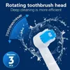 Rotary Electric Toothbrush with Base Rechargeable Dental Automatic High Frequency Vibration Tartar Stains Remove Teeth Whitening 240409