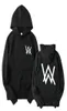 Fashion Men Women Alan Walker Hoodie Pullover Warm Toktik Hip Hop DJ Music Teenager Tracking Tracking Feste invernali Autunno inverno 8843868