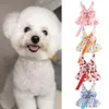 Söt hundklänning sommar utomhusaktiviteter och koppel set med bowknot dekoration husdjur katt prinsessan klänning för våren 240416