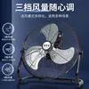 Floor fan, hurricane fan, big wind industrial fan