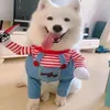 Dog Apparel Cat Pet Funny Costume Chucky Deadly Doll Cosplay Clothes Halloween Outfit For Dogs Cats