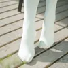 Calzini sexy sopra calze al ginocchio nuovo design calze magro bianche nere calze di cotone lunghe di cotone lungo la coscia altissima calza sexy alta 240416