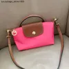 Производители высококачественный дизайн оптом французский Longxiang Mini Mini Pudling Bag.