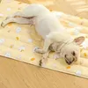 ペットアイスマットスーパークール犬冷却サマーパッドマット犬猫犬のための再利用可能なトレーニング240416