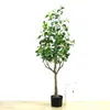 Fiori decorativi simulato pianta douban albero verde bonsai in vaso