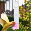 Other Bird Supplies Water Dispenser Automatic Drinking Fountain Pet Parrot Cage Bottle Feeder Bowls And Drinkers For Lovebird