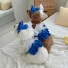 Fashion Puppy Blue Dress Cake Skirt Spring Summer Pet Cat Dog Clothes For Teddy Bichon Pomeranian Small Dog Designer Clothes 240416