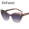 Óculos de sol Eye Gato Eye Women Designer colorido Eyewear Fashion Grande Men, conduzindo óculos de sol UV400