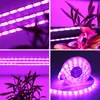 Cultiver les lumières USB LED LUMIÈRE SPECTRUM FULLE PLANTAPHIER IP65 DC 5V Strip Phyto Lampes pour la tente de semis de fleurs de légumes