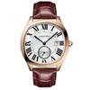 Montre-bracelets Luxury Watch Automatic Top Brand Men Mechanical Carltiny Fashion Watchs Homage Clocks 2024 Relojes Para Hombre