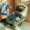 Leche de leche Retrase Cat Dog Brand Sky Sky Blue Sweater Teddy Bomei Fadou Autumn/Winter Pet Worth