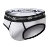 Sous les calendriers Sexy Mens Underwear Cotton Fashion Sports Bikini Brief