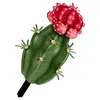 Tuindecoraties decoratie decoratieve inzetstukken versiering gemalen decoratie tuin ornament creatief bord voor inzetten borden cactus