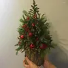 Vases Christmas Bark Barrel plantes succulentes