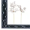 Decoratieve bloemen 60 -sten geperst gedroogd fimbristylis bloem herbarium voor hars epoxy sieradenkaart bookmark frame telefoonhoes make -uplamp