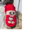 Trendigt varumärke höst/vinter stor tröja guldhårig liten hund shirena björnar teddy husdjur förälder barnkläder