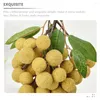 Party Decoration Artificial Longan Model Fruit Decor Fake Decorative Decorations Showcase Prop Simulated Adornment