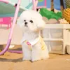 犬の夏の服ハイエラスティックペットクールベスト服猫小さな子犬犬通気性のチョッキ240416