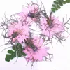 Dekorativa blommor älskar i en dimtorkad pressade blommor arrangemang 8 olika färger för barn Handgreppsgåvor 120 st