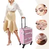 Алюминиевый кафедливый макияж Кейс Кейс Розовый Travel Beauty Luggage Trolley W4 Universal Wheels 1 ящики 240416