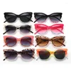 Óculos de sol Eye Gato Eye Women Designer colorido Eyewear Fashion Grande Men, conduzindo óculos de sol UV400