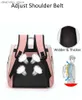 Carriers Catiers Cases Casas de viaje transpirable BA para Pet Space Capsule Carrier de gatos Mochila Ventana Transporte Astronaut Pet L49