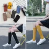 YZD7 Sexy Socks 2 Pairs Women Cotton Knee High Socks Black White Solid color Fashion Casual Calf Sock Female Girl Party Dancing Sexy Long Socks 240416