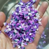 100g DIY Slime Supplies Sea Fish Bee Honeycomb Flower Grape Fruit Butterfly Polymer Clay Slices Sprinkles