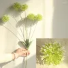 Kwiaty dekoracyjne sztuczne glady pompom mniszek bębny rośliny kulkowe gałąź dekoracje domowe ogród El DIY Wedding Wall Materiał 72 cm