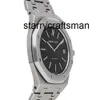 Designer Watches Mechanical Audemar Watch Automatic Classic Automatic Steel Date 5402st