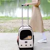 Cat Carriers Crates Houses Trolley Pet Backpack Lare Space Mute Universal Wheel Cat Ba Foldin Trolleys Pets Bas Cats en Do Carrier L49