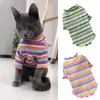 Katkostuums kleurrijke streep sphynx vest shirt voor kleine katten katten kedi katoen puppy hond huisdier kleding mascotas kleding ropa para gatos