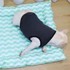 French Bulldog Summer Summer Cool Vest Pet Dog Camise