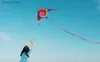 Kite Accessories Outdoor Fun Sports New Arrive 1.6m Colorful Triangle Kites With 10m Tail / Handle Line Good Flying Y240416