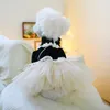 Köpek giyim 1pc Pet Giyim Kedi Bahar Sonbahar Siyah Çin tarzı prenses elbise Çekiş tokası ile küçük orta boy köpekler için uygun