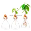 Vases Stickers Gardening Lovers Transparent Seed Growing Kit Glass Vase Starter For Drop Delivery Home Garden Dhbjn