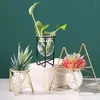 Vases Vase végétale hydroponique stable moderne Nordique DIY Iron Art Holder Exquisite Flower Bottle Conteneurs Salon