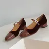 Lässige Schuhe französische Vintage Mary Jane Frauen Frühlings- und Herbstlinie Schnalle Dicker Fersenquadratkopf klein