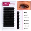 10 Case Easy Fanning Cylelash Extensions