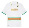 23/24 Venezia FC Soccer Jerseys 2023 Aramu Forte Fiordilino Peretz Heymans Tessmann Crnigoi Maillots de Foot Рубашка Mariano Johnsen Футбольная форма 999