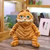 Fat Orange Plush Pchane zwierzęta Zabyśnia Zabawna Żółta Tabby Kitty dla chłopców i dziewcząt Dziewczyn