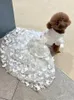Hondenkleding handgemaakte huisdierjurk bruiloft achterblijvende kleding uitgehold uit kant katoenen sluier vlinder dagelijkse outfit 2 -stijl poedel maltese jurk