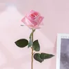 Simulation de fleurs décoratives Real Touch Cloth Roses Branches Fleur artificielle Plant Green Champagne Rose Decoration Floral