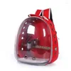 Backpack Birds Pets Travel Bag Hiking And Outdoor Use Ventilate Transparent Space For Carrier