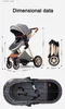 Strollers# Luxury Baby Stroller 2 in 1 Foldable Stroller High landscape Newborn Baby Bassinet Puchair Lightweight baby cart with comfort L416