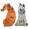 50 cm simulazione carina simulazione peluche giocattolo peluche 3d custini di cuscini da cartone animato cuscino da cartone animato dambo dambolo derg regalo 240407