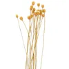 Flores decorativas 20 PCs Retalhas de vime de vime