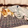 Tapis de lit de chien épaissis en flanelle Tap-couchage à animal de compagnie doux pour petits chiens moyens chats hivernaux
